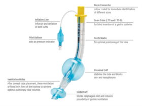 Product Details Of Laryngeal Tube